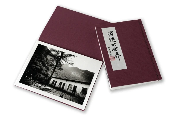 Vanishing existence - 2nd edition -